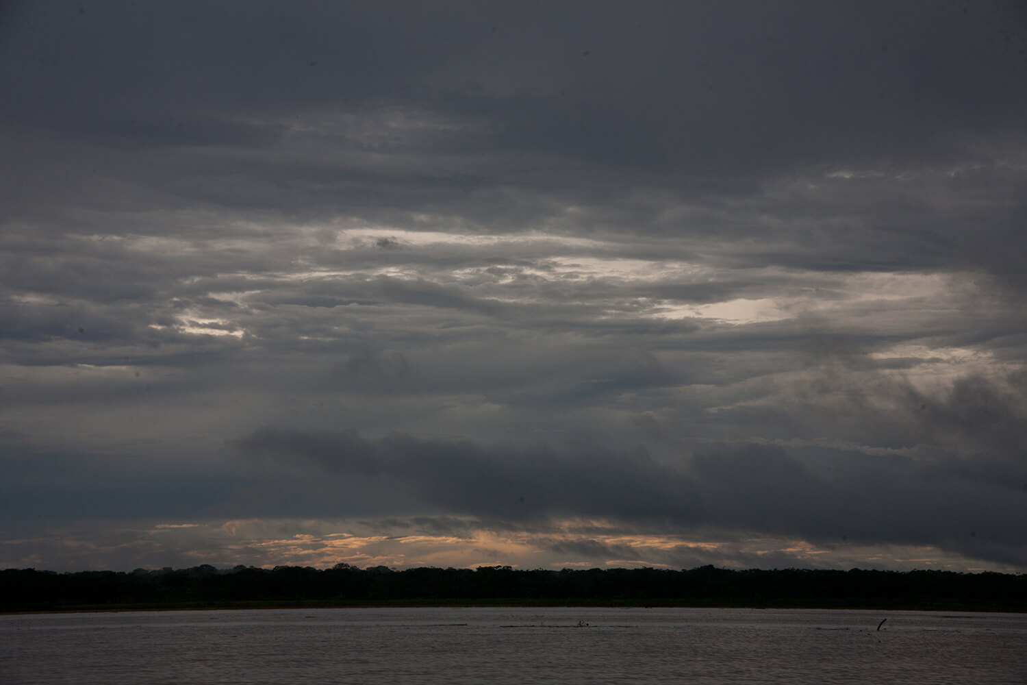 AMAZONAS 38 rio galeria_MG_0037.jpg